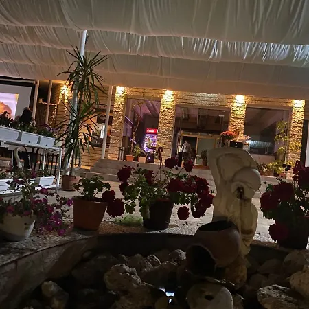 Hayat Ltd Primorszko