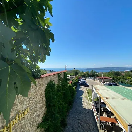 Hayat Ltd * Primorszko