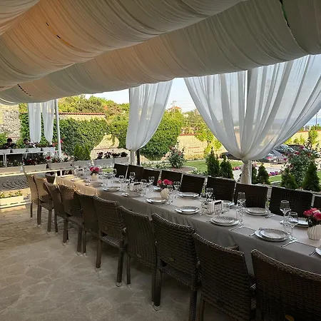 Hayat Ltd Πριμόρσκο