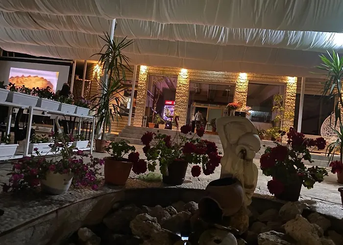 Hayat Ltd Приморско