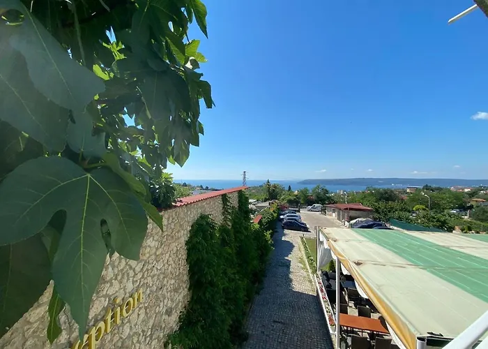 Hayat Ltd * Приморско