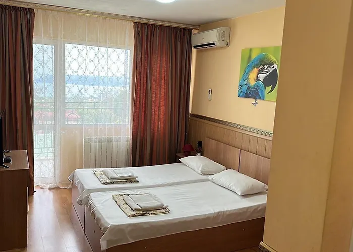 Hayat Ltd Приморско