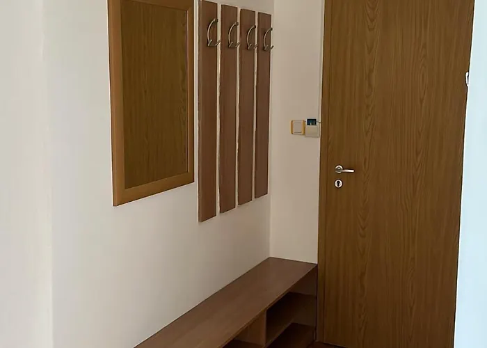 Hayat Ltd * Приморско